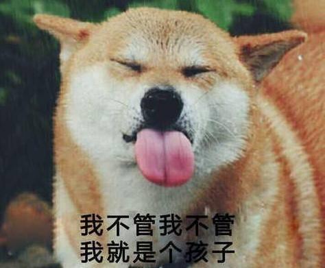 柴犬男星爆料视频大全集,揭秘娱乐圈幕后故事  第3张