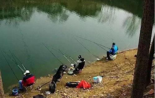 水库大鱼爆料怎么做视频,视频制作攻略全解析 第2张 水库大鱼爆料怎么做视频,视频制作攻略全解析 第2张