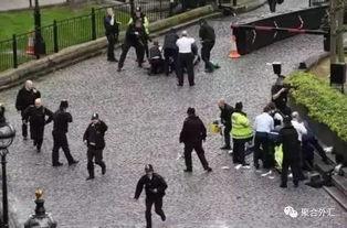 绵阳凯厦砍树事件爆料视频,揭秘校园暴力背后的真相 第2张 绵阳凯厦砍树事件爆料视频,揭秘校园暴力背后的真相 第2张