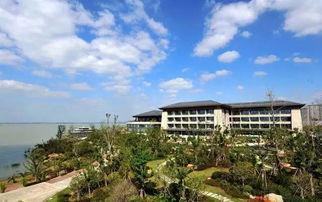 苏州东太湖最新爆料,生态宜居新画卷渐次展开 第2张 苏州东太湖最新爆料,生态宜居新画卷渐次展开 第2张