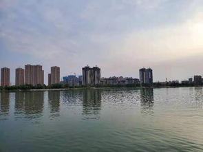 汕头龙湖区爆料案件最新,惊曝重大案件细节披露  第3张